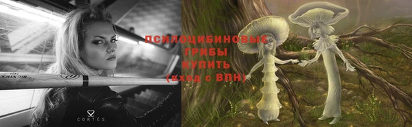 apvp Покровск