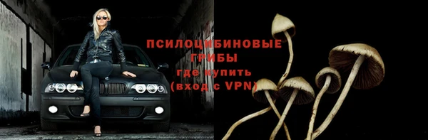 ГАЛЛЮЦИНОГЕННЫЕ ГРИБЫ Покров