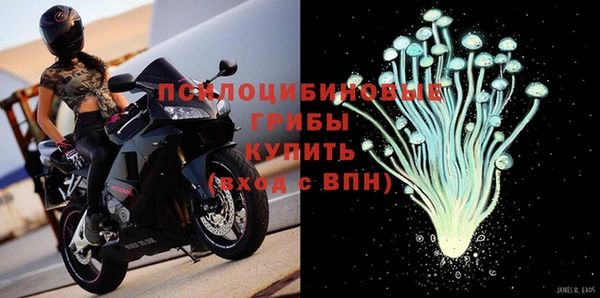 apvp Покровск