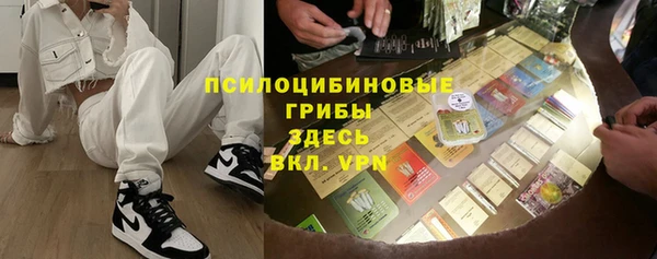 ГАЛЛЮЦИНОГЕННЫЕ ГРИБЫ Покров