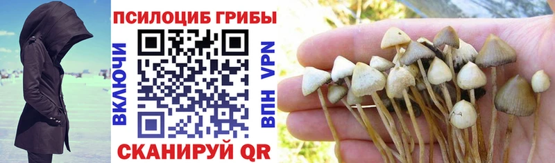 Псилоцибиновые грибы Psilocybine cubensis  shop формула  Тында 
