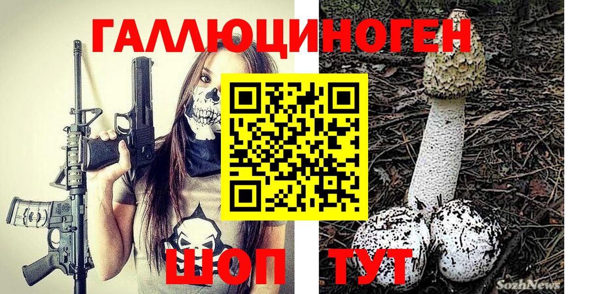 Галлюциногенные грибы Psilocybe  Вход с VPN  Галлюциногенные грибы Psilocybe  Тында 